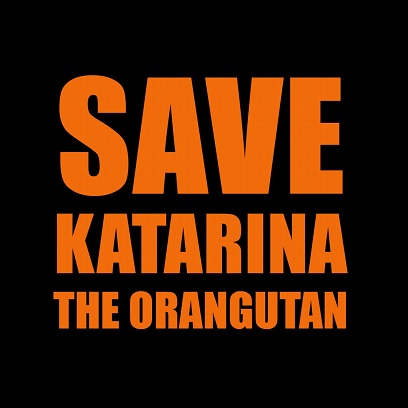 Help us get Katarina the orangutan sent to a sanctuary