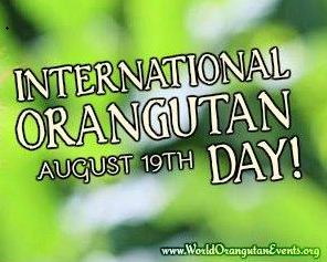 International Orangutan Day in Malaysia!