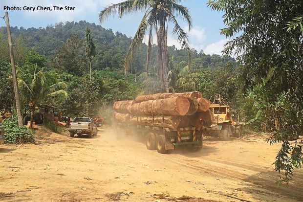 Rampant deforestation in Kedah