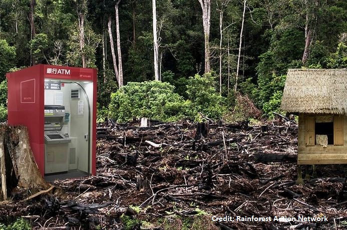 The banks and investors exposed to deforestation risks in Southeast Asia