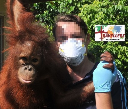 Tell Travellers Worldwide, stop exploiting Sepilok orangutans!